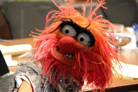 Feast Your Eyes on 10 Exclusive New Images From the Muppets | Insider ...