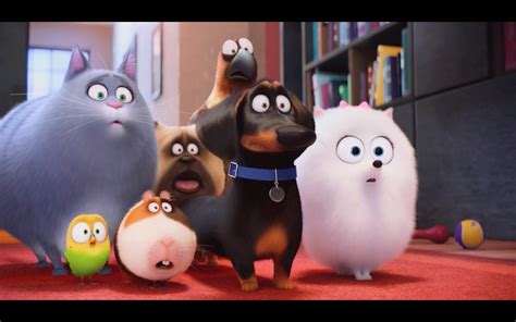 The Secret Life Of Pets Official Trailer #3