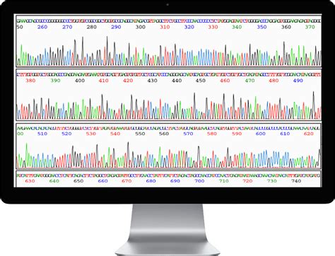 DNA Sequencing | ELIM BIOPHARM