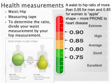 Health Calc: Waist to Hip Ratio