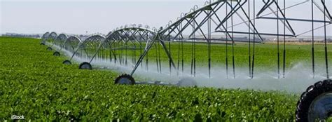 USDA ERS - Understanding Irrigated Agriculture