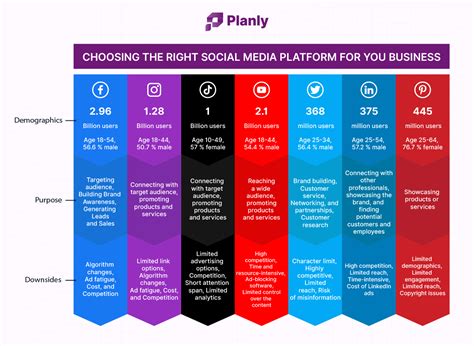 Best Social Media Platforms For Business 2024 - Nani Pollyanna