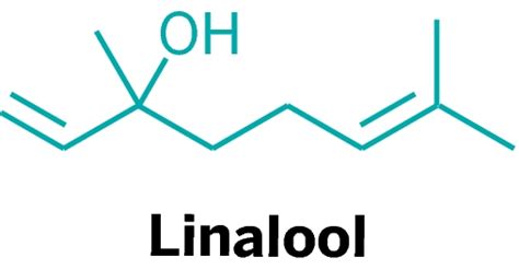 Linalool Structure