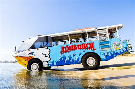 Adults at Kids - Aquaduck Gold Coast & Sunshine Coast | 1hr Duck Tour