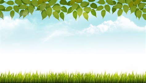 Nature spring background with grass | Spring background, Grass ...