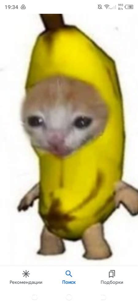 Create meme "a crying cat in a banana costume, the banana cat, cat with ...