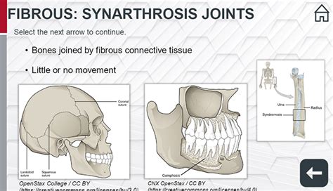 osteokinematics | E-Gallery | University of Nebraska Medical Center