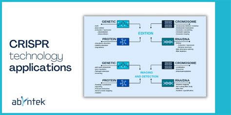 CRISPR technology applications | Abyntek Biopharma