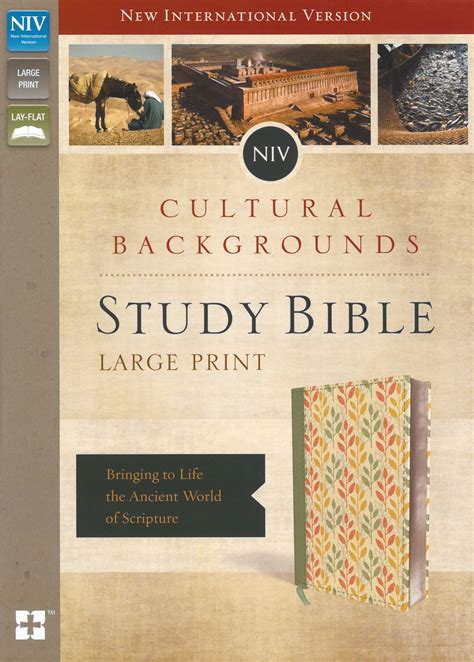 NIV Cultural Backgrounds Large Print Study Bible (Sage/Leaves ...