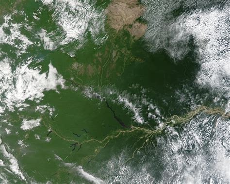 Satellite Image, Photo of the Amazon River, Brazil