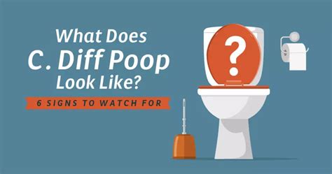 What Does C. Diff Poop Look Like? 6 Signs To Watch For ...