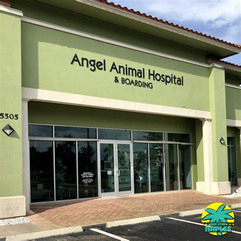 Angel Animal Hospital & Boarding located at 15505 Tamiami Trail N ...