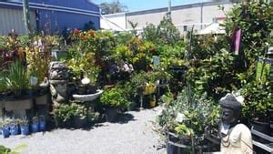 Redcliffe Garden Centre in Redcliffe, Brisbane, QLD, Nurseries ...