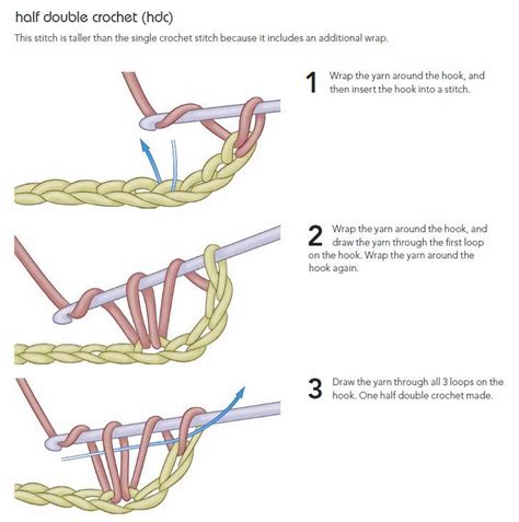 Half double crochet stitch | Crochet videos, Crochet stitches guide ...