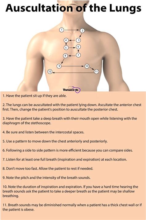 Nursing Health Assessment of the Respiratory System | Health assessment ...