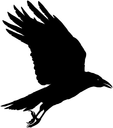 Crow silhouette, Raven art, Crows drawing