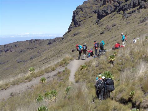 Go To Mt Kenya - Mount Kenya Climbing, trekking Mount Kenya