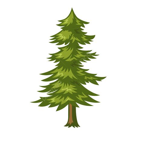 Pine Tree Vector Illustration, Pine Tree, Forest Tree, Evegreen PNG and ...