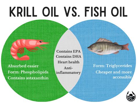 All About Fish Oil - Today's Farmed Fish