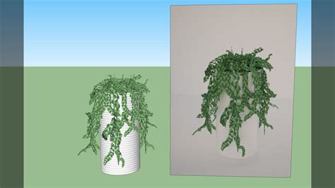 Hanging plant | 3D Warehouse