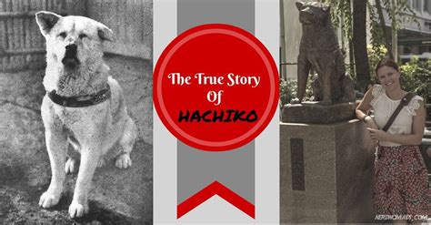 The Amazing And True Story Of Hachiko The Dog