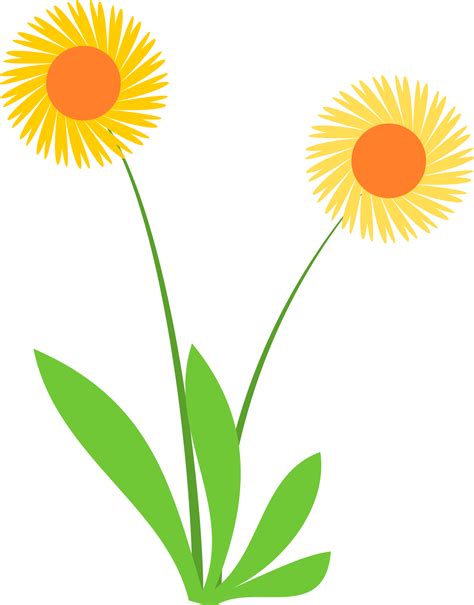 grass, cute grass, grass with flower 9313134 PNG