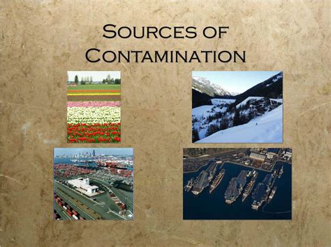 PPT - Soil Contamination- Overview and Case Study PowerPoint ...