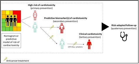 JCM | Free Full-Text | Management of Cardiac Toxicity Induced by ...