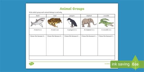 Animal Group Worksheet - Science Resource - Twinkl