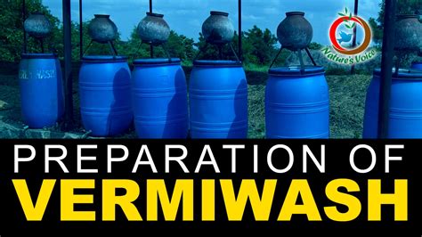 Natural Fertilizer | Preparation and Advantages of Vermiwash - YouTube