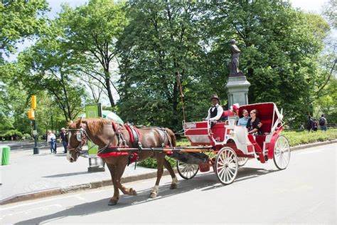 Central Park Carriage Rides (New York City) - 2019 All You Need to Know ...