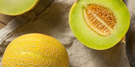 Top 10 Special Melon Varieties - Zamnesia USA