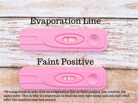 How to Interpret the Results of an Evap Line on a Pregnancy Test ...