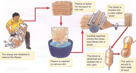 Wool | Manufacturing Process of Wool