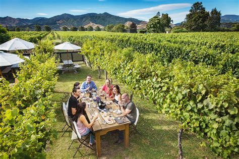 Marlborough Wine & Beer Tasting Tours - Hop N Grape 2022