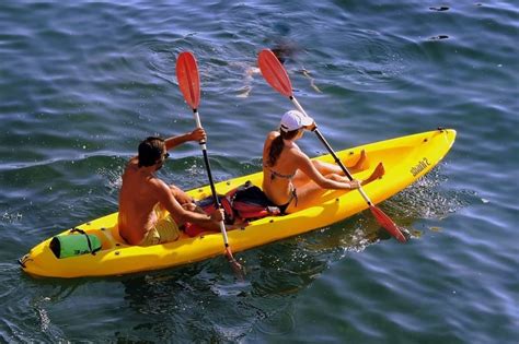 🌊 Water Sports Equipment — Different Types and Use