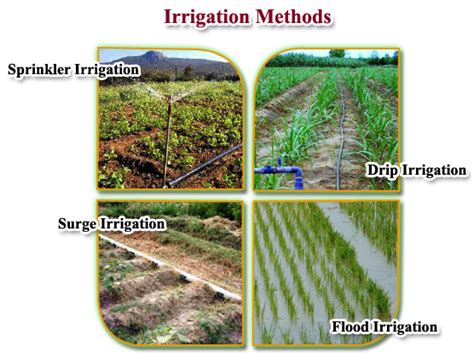 Irrigation Management