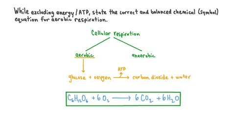 Aerobic Respiration Equation