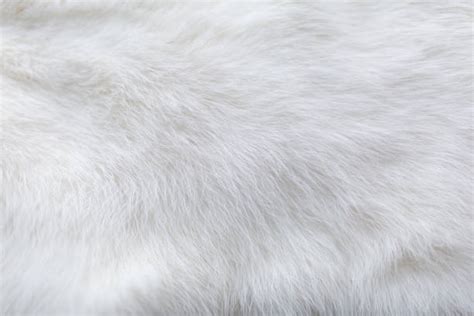 37,400+ Rabbit Fur Texture Stock Photos, Pictures & Royalty-Free Images ...