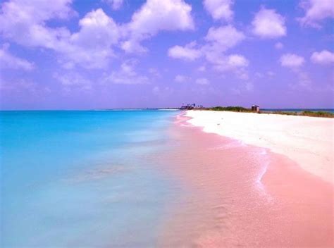 The Unique Pink Sands Beach in Harbour Island, the Bahamas