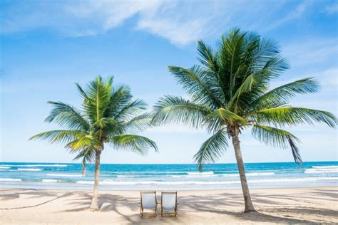 The Gulf Coast Beach in Florida - Beach at Fort Myers