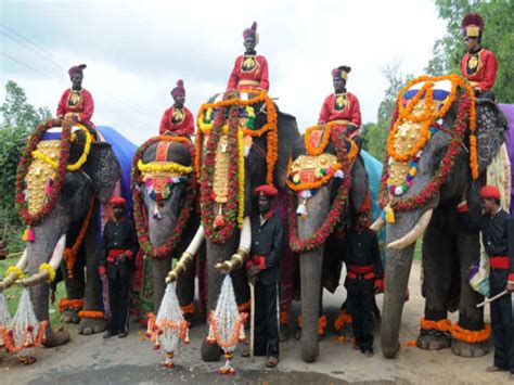 sandalwood: Dasara elephants arrive in Mysore | Events Movie News ...