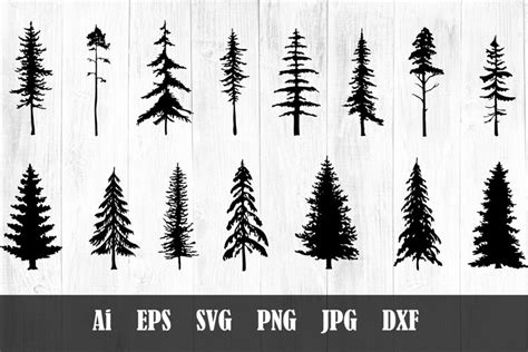 Pine Tree Silhouette SVG