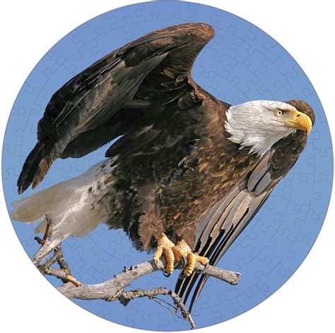 Bald Eagle Puzzle A•Round:, 140 Pieces, Pigment & Hue | Serious Puzzles