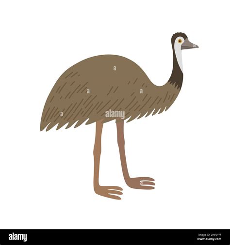 Emu with character Stock Vector Images - Alamy