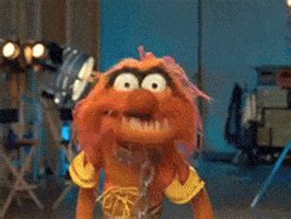 This Was My First Muppets GIF - Find & Share on GIPHY