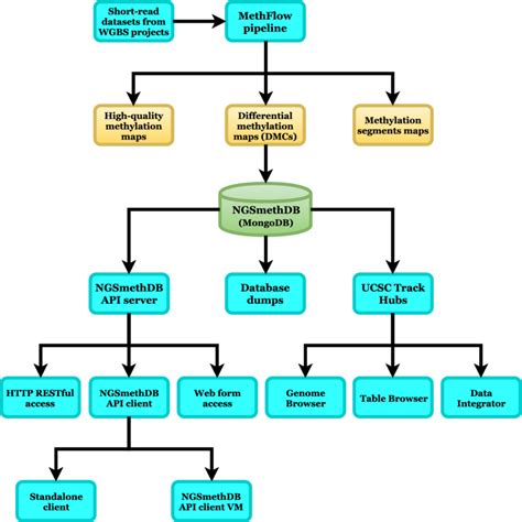 Types Of Flowchart Overview Flow Chart Data Flow Diagram Flow | Images ...