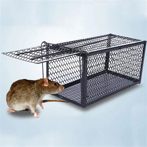 Rat Cage Mice Rodent Animal Control Catch Bait Hamster Mouse Trap ...