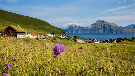 8 days – Guided hiking tour of Faroe Islands 2025 - Arctic Friend