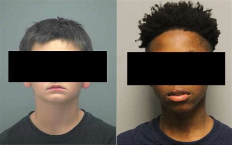 House Passes Bill Banning Publication of Juvenile Mugshots – Blue Delaware